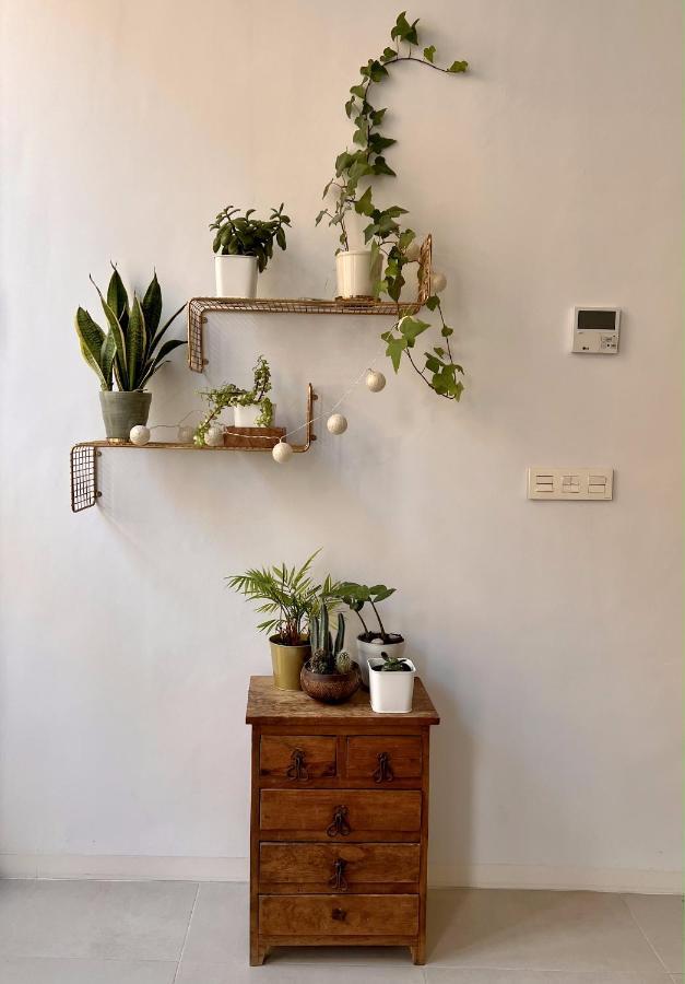 Beautiful House In Cartagena's Historic Center Hébergement de vacances *